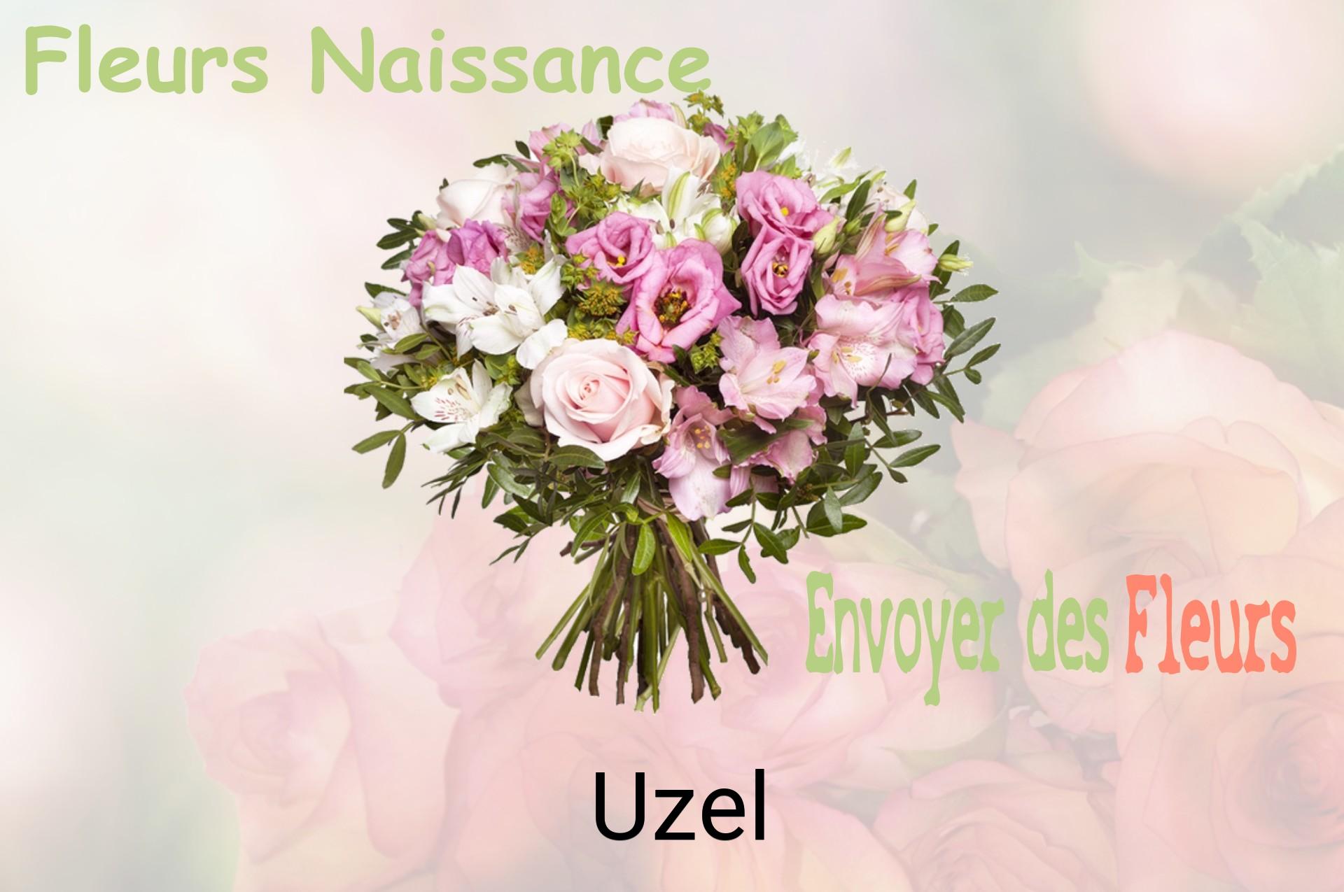 Bouquet de fleurs de naissance livré à Uzel